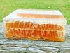 PREMIUM HONEY RAW GALLBERRY COMB 12oz 100% PURE UNFILTERED USA HONEYCOMB gallery