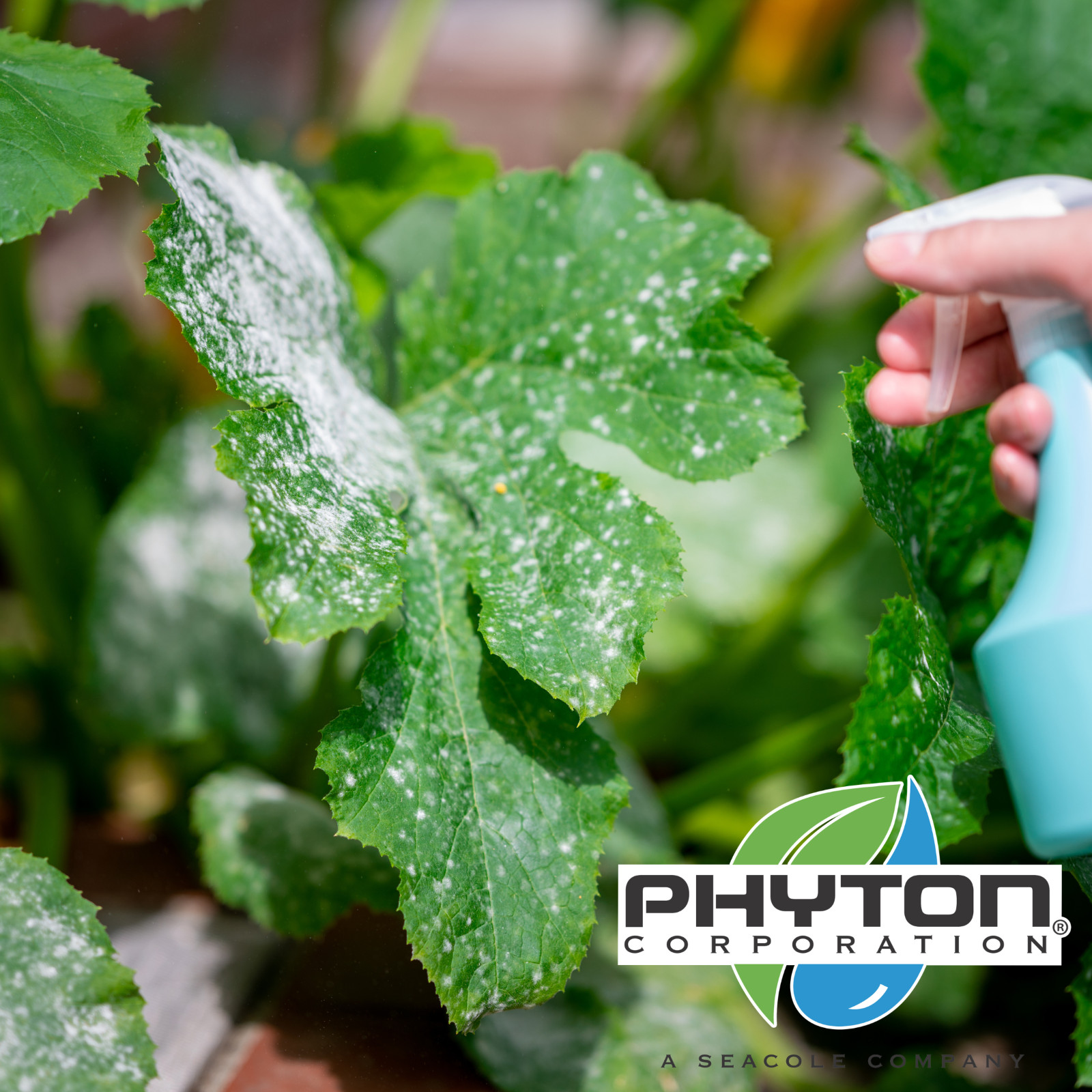Phyton-27 All-Purpose Plant Disease Control 8oz Bottle gallery