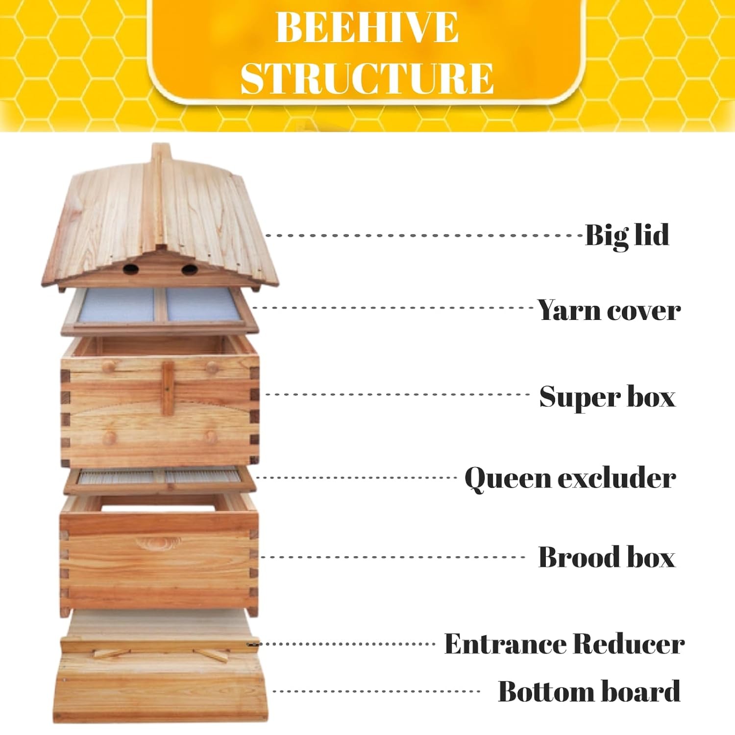 Automatic Beehive Starter Kit Cedarwood Beekeeping Box with 7pcs Auto Bee Frames gallery
