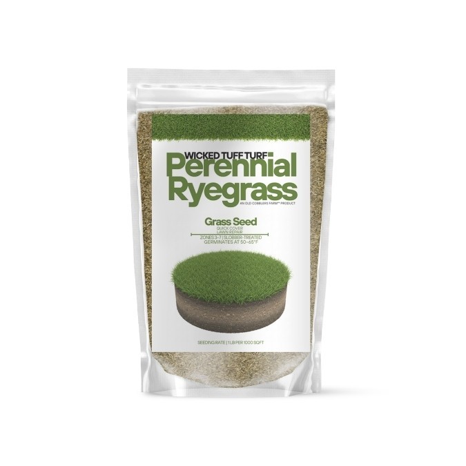 Old Cobblers Farm™ Wicked Tuff Turf Perennial Ryegrass Seed – Fast-Germinating gallery