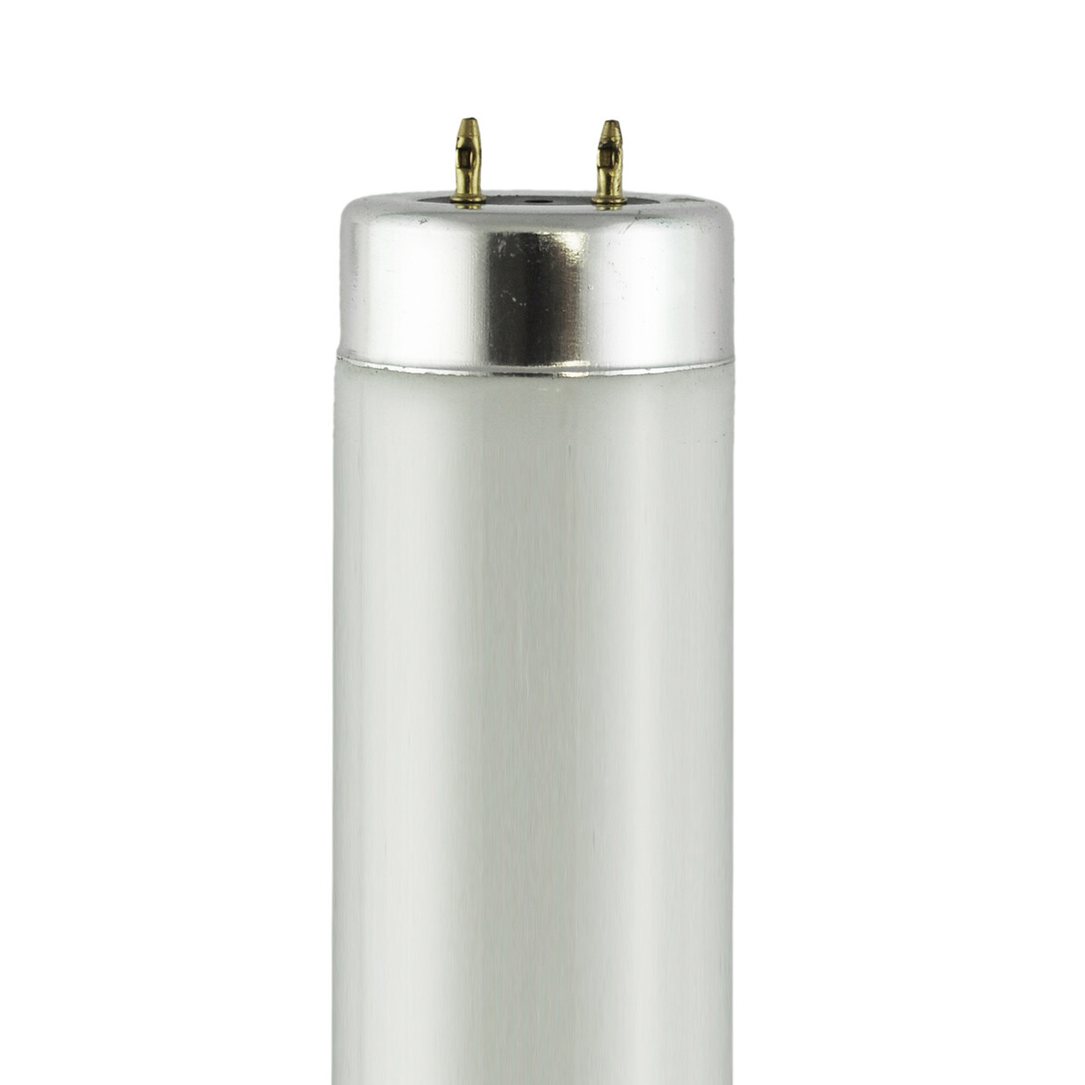 F14T12-D - Watts: 14W, Color Temperature: 6400K (Daylight), Type gallery
