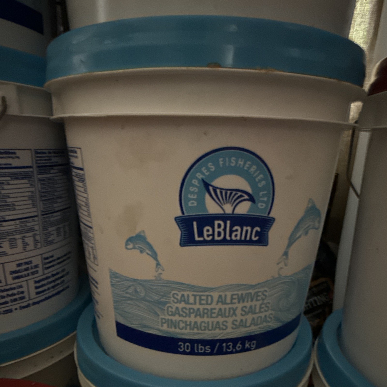 Container Packaged Seafood Pantry Salted Alewives 3 units gallery