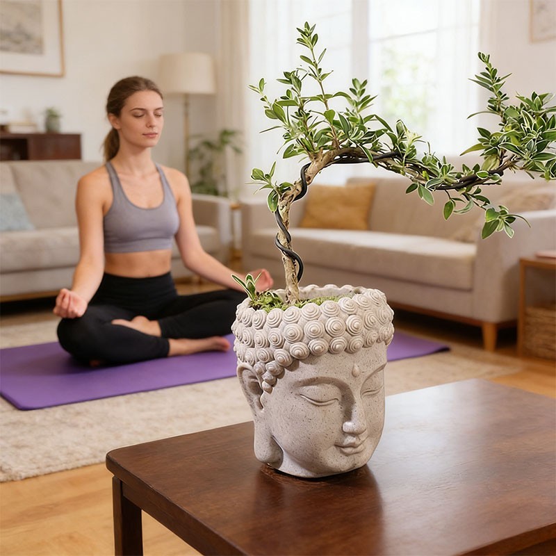 Buddha Head Flower Pot, Small Resin Succulent Planter, Garden Pot gallery