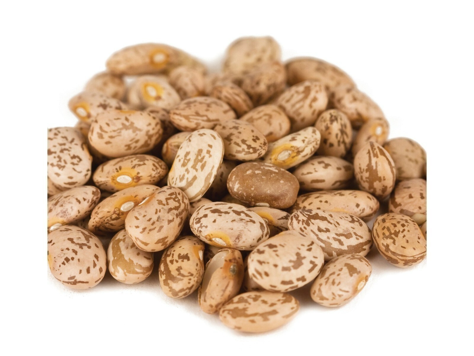 Pinto Bean Beans 2 Pounds Free Shipping gallery