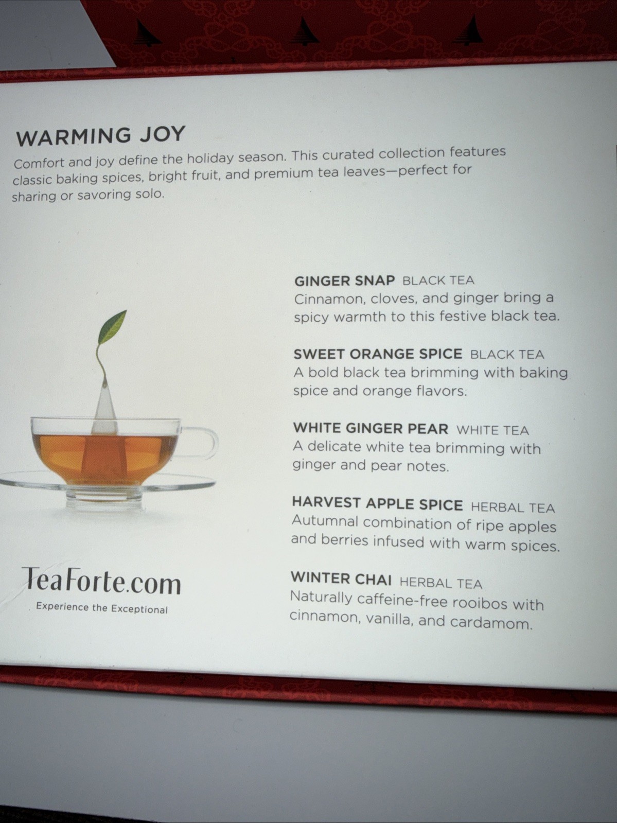 2 Tea Forte 10 Handcrafted Pyramid Tea Infusers Warming Joy gallery