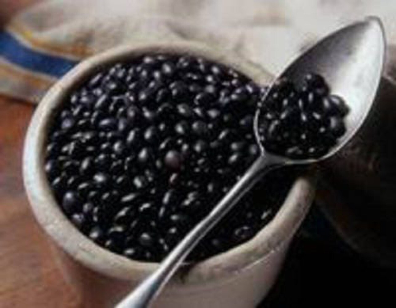 50 BLACK BEAN (Black Turtle Bush Bean) Phaseolus Vulgaris Vegetable Seeds gallery