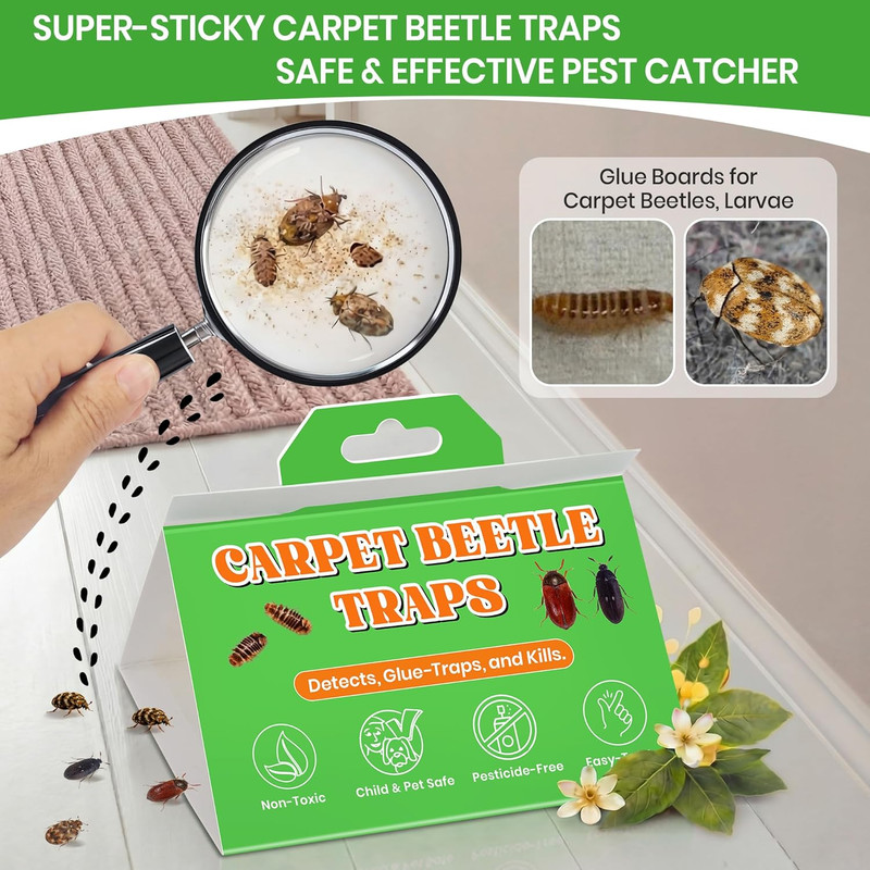 10 Pack Carpet Beetle Traps, Indoor Sticky Glue Traps for Carpet Beetles, Larvae gallery