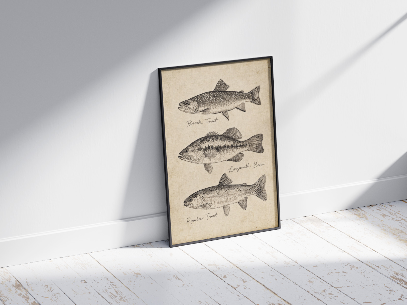 Vintage Freshwater Fish Poster, Brook Trout Largemouth Bass Rainbow Trout Canvas gallery