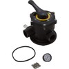 Multiport Valve, Carvin DVK7, 1-1/2", 7 Pos, Bolt gallery
