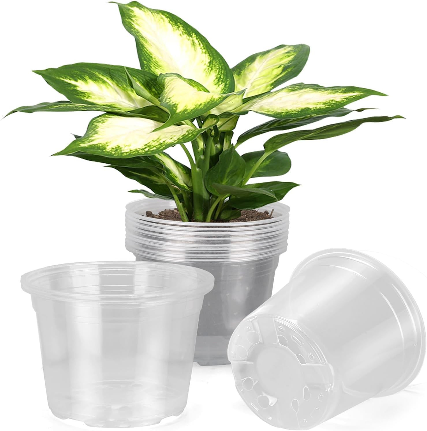 8 Inch Large Clear Nursery Pots with Drainage, 10 Pack Plastic Pots for Plants, gallery