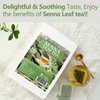 Premium 100 Senna Tea Bags, Made with 100% Natural 100 Count (Pack of 1) gallery
