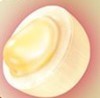 Sakuma 罪深いももキャンディ 54g x 4 Packs – Sinful Peach Candy – Japanese Premium Sweet gallery