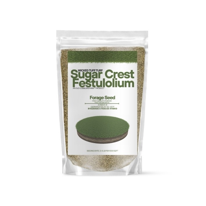 Old Cobblers Farm™ Wicked Tuff Turf Sugar Crest Festulolium Grass Seed gallery