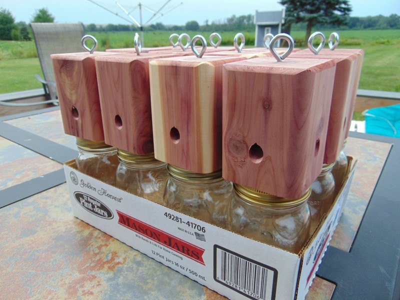 12 Red Cedar carpenter bee-bore cedar traps FREE SHIPPING gallery