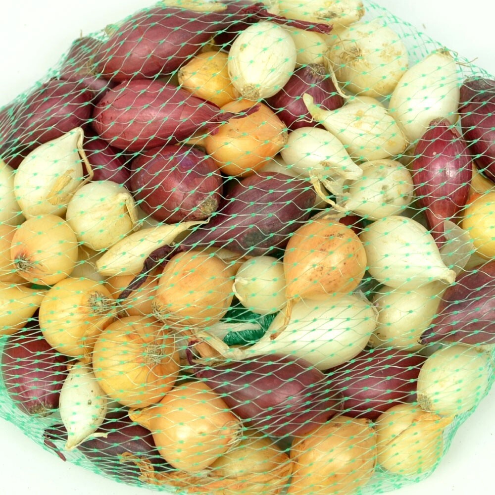 Mixed Onion Sets Red, Yellow, White Bulbs, Non-GMO 8 oz. (40+Bulbs) Shipping Now gallery