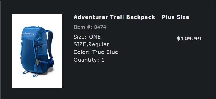 Eddie Bauer Adventurer Trail Backpack 30L Blue - Plus size