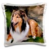 3dRose Rough Collie-Pillow Case, 16 by 16" (pc_4155_1) gallery