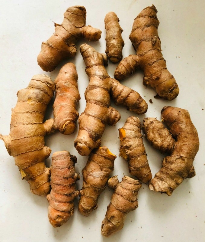 10PCS TUMERIC ROOTS FOR PLANT-CURCUMA LONGA-ARTHRITIS PAIN,MAKE TEA,COOKING gallery