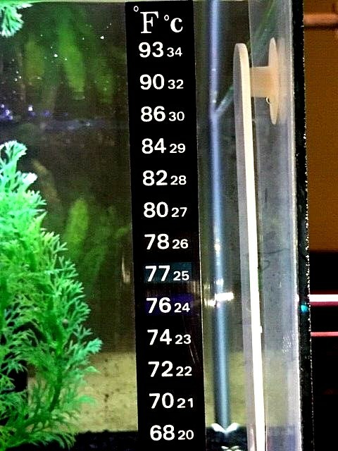 1 Aquarium Fish Tank Thermometer Temp Sticker Stick On **FAHRENHEIT IN BOLD!** gallery