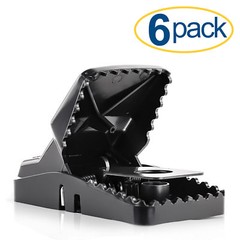Large Powerful Rat Traps (6 Pack) – Kills Instantly with Powerful Steel Spring