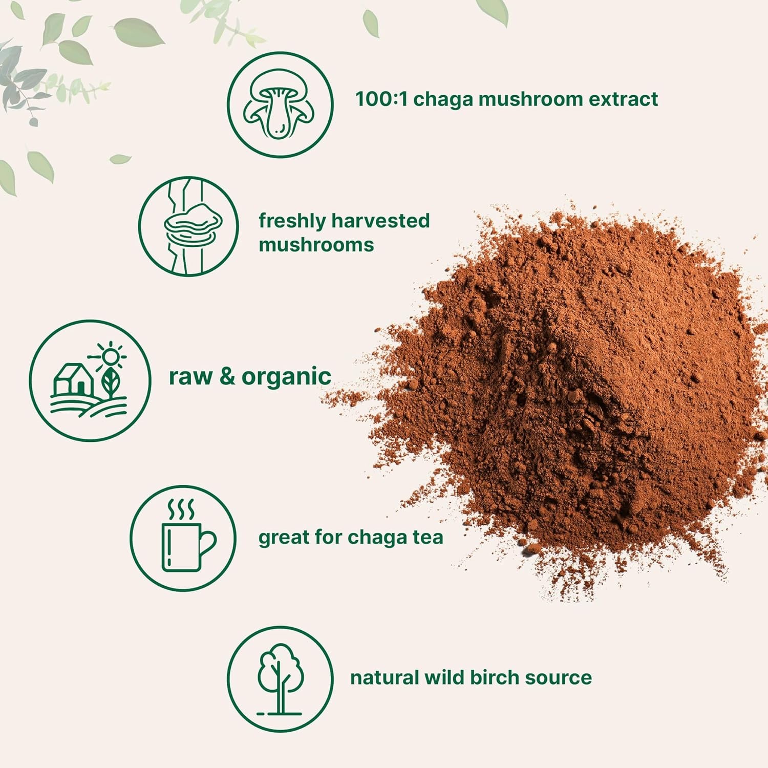 Micro Ingredients Organic Chaga Mushroom Extract, 10 oz | 100:1 Wild... gallery