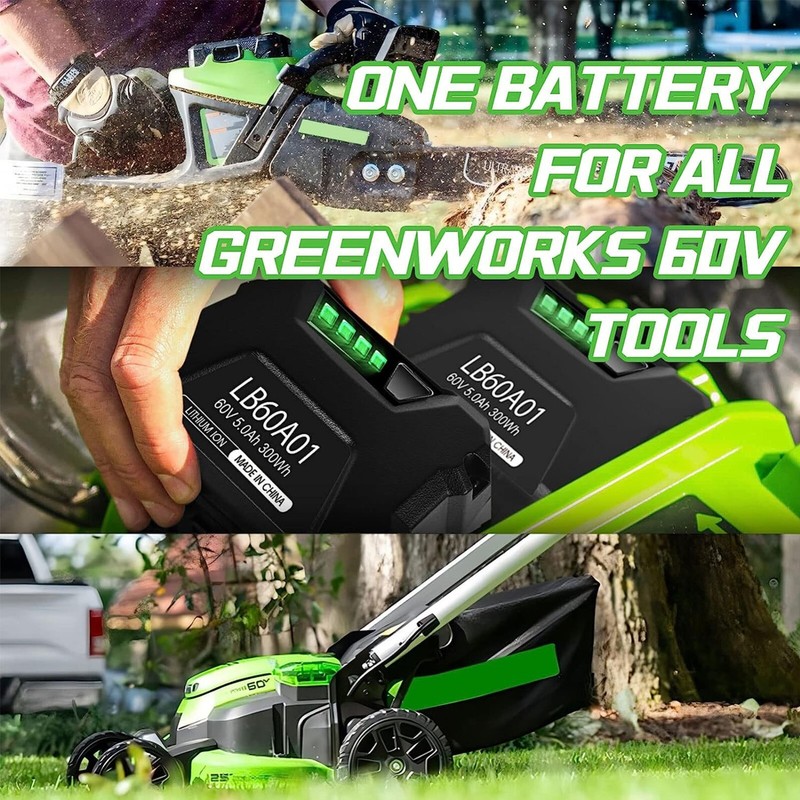 2pack 5.0Ah For Greenworks Pro 60Volt Max Tool Lithium-ion Battery LB605 LB60A01 gallery