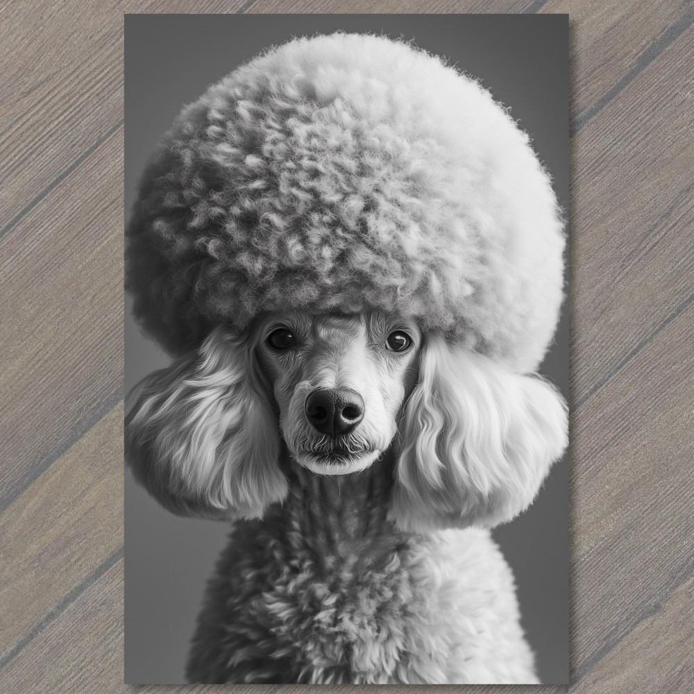 Art Print Poodle White Gray Round Fluffy Fur Detailed Portrait Cute Fun gallery