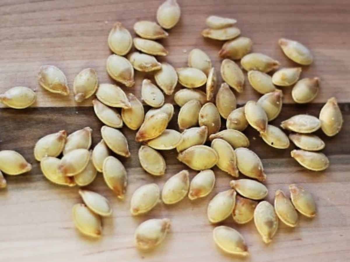 SPAGHETTI SQUASH SEEDS 50+ WINTER SQUASH garden Vegetable NON-GMO #68 gallery