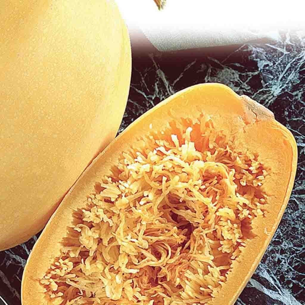 SPAGHETTI SQUASH SEEDS 50+ WINTER SQUASH garden Vegetable NON-GMO #68 gallery