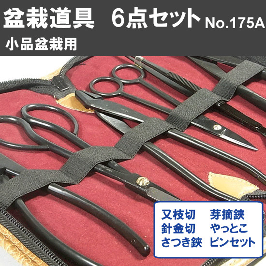 Japanese Kaneshin Bonsai Tools Set 6-Piece For Small Bonsai No.175A Japan NEW gallery