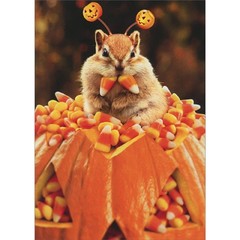Chipmunk with Candy Corn Fangs and Pumpkins on Springs Headband Halloween Card