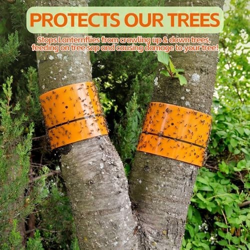 12 Rolls Spotted Lanternfly Trap - 30ft Sticky Strips for Trees, Garden, Lawn gallery