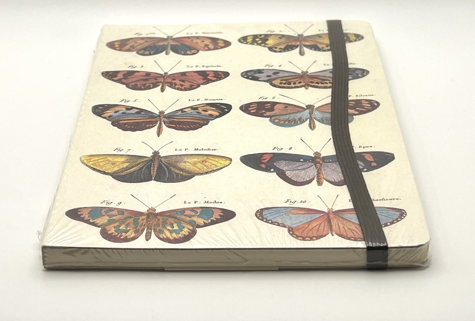 Cavallini & Co Butterfly Notebook 144 Pages Made in Italy NEW gallery