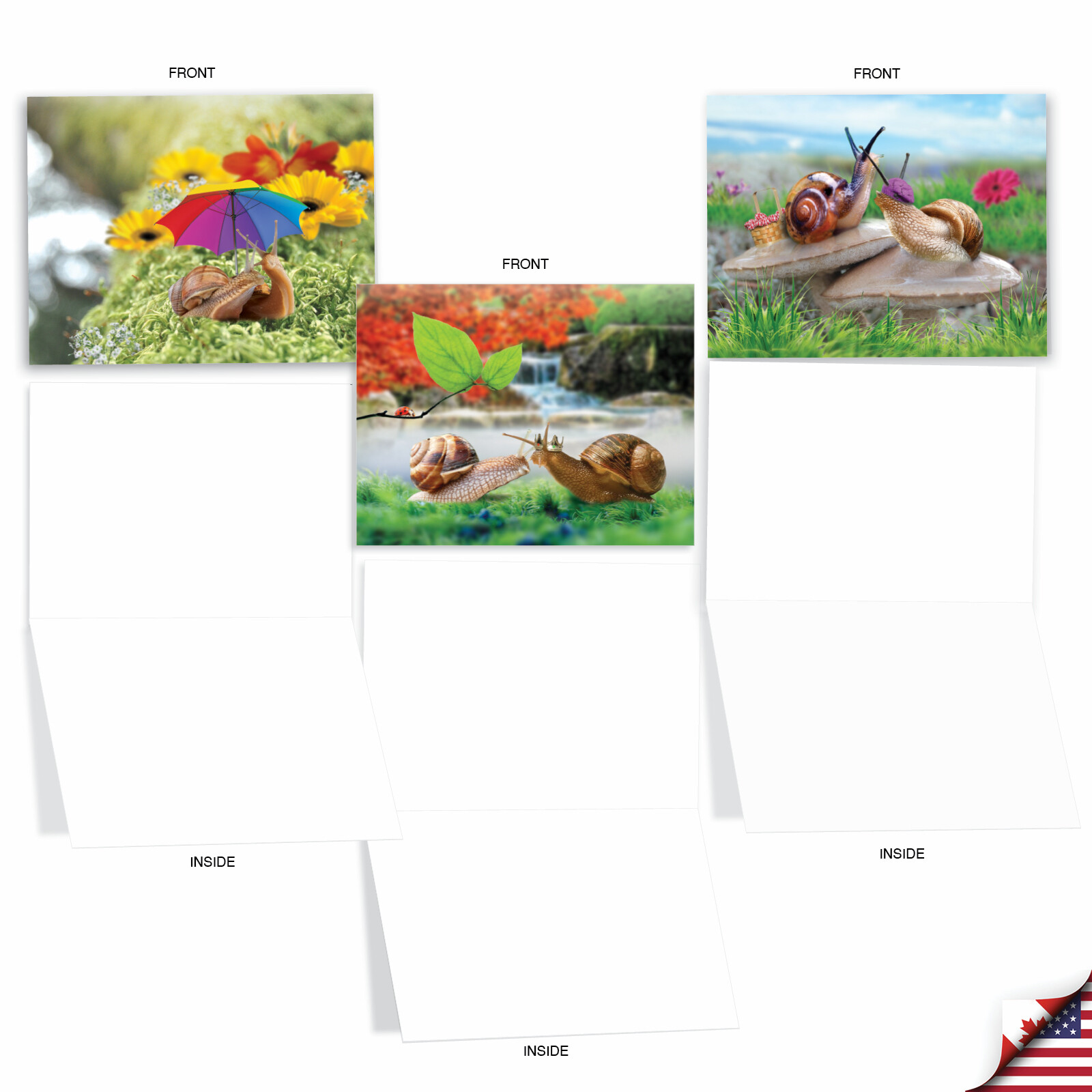 10 Assorted All Occasion Blank Note Cards - A SNAIL'S PACE M2349OCB gallery
