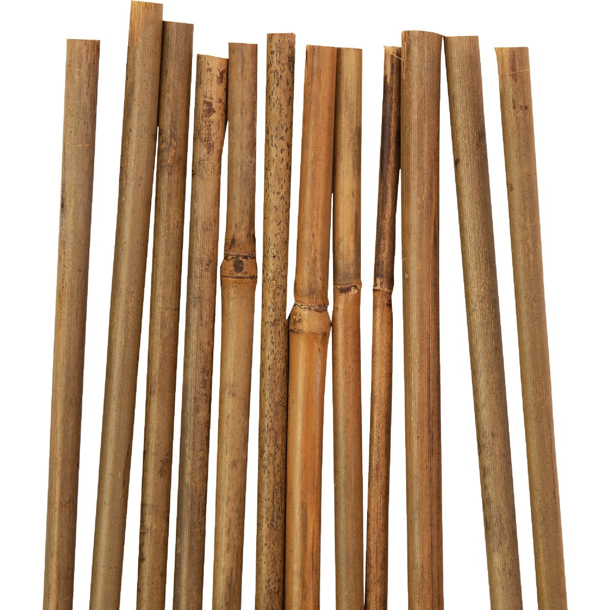 Gardener's Blue Ribbon 4 Ft. Bamboo Plant Stake (12-Pack) BB4N Gardener's Blue gallery