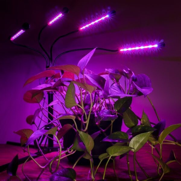 AgroMax Homeglow Flex 4 Full Spectrum LED Grow Light - 3 YEAR WARRANTY! gallery