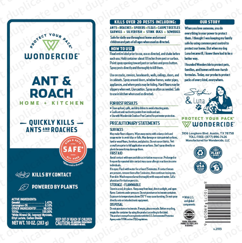 - Ant & Roach Aerosol Spray for Kitchen, Home, and Indoor Areas - Ant, Roach, Sp gallery