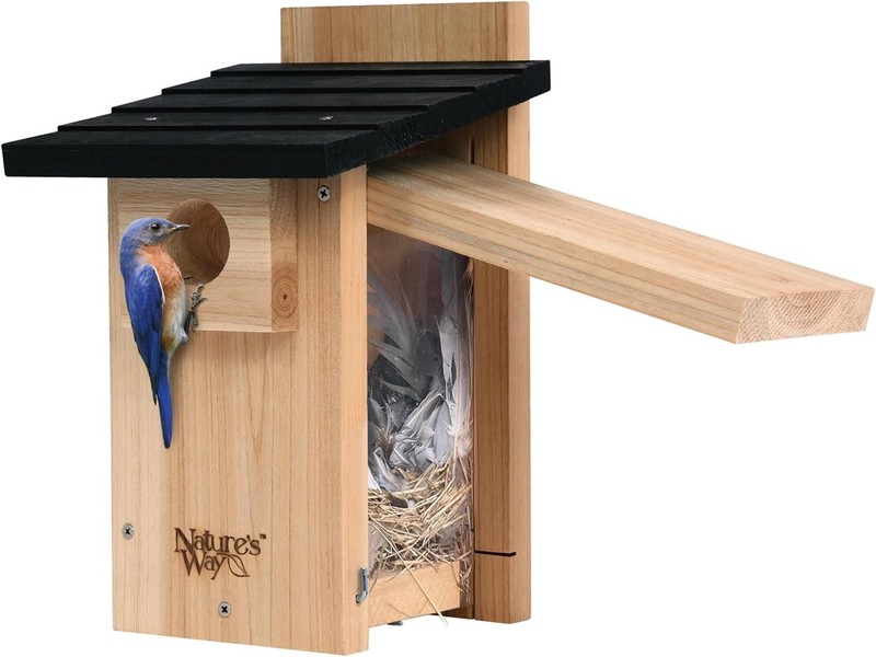 Cedar Bluebird House with Viewing Window & Predator Guard - 12" Tall gallery