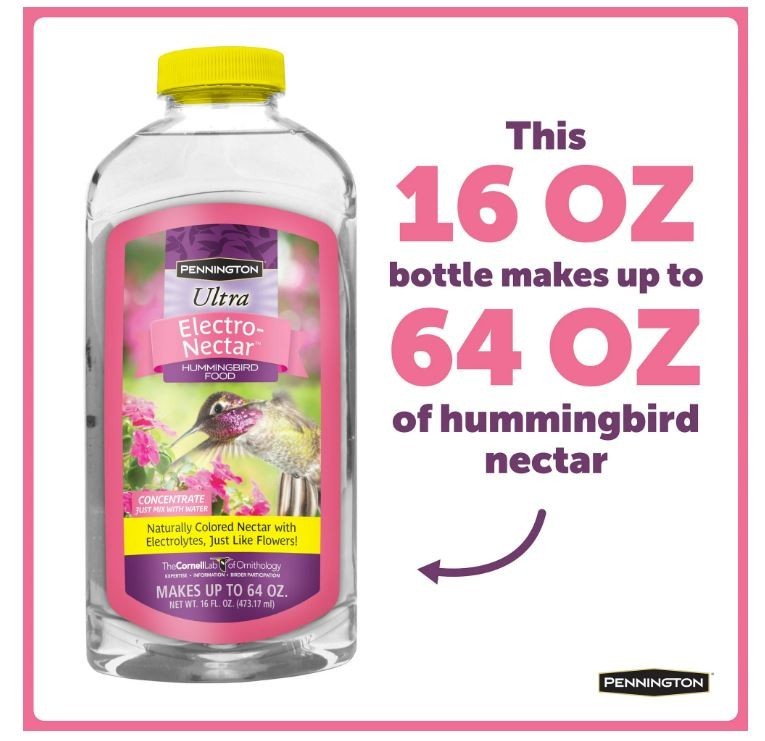 Liquid Concentrate, Electro Nectar Clear Hummingbird Food, 16 Oz. gallery