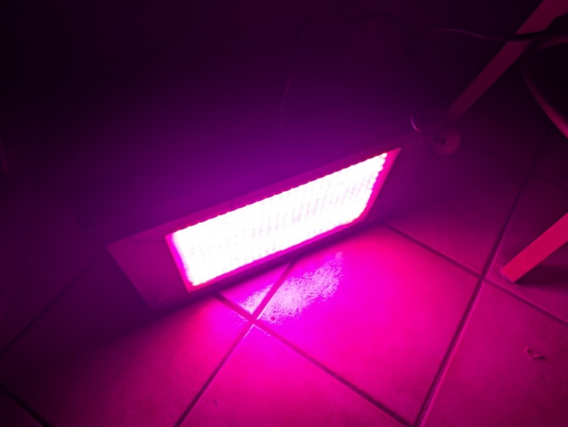 GROW LIGHT FOR INDOOR PLANTS COMPLETE READY FOR USE FULL SPECTRUM 2000W WORKS🔥 gallery