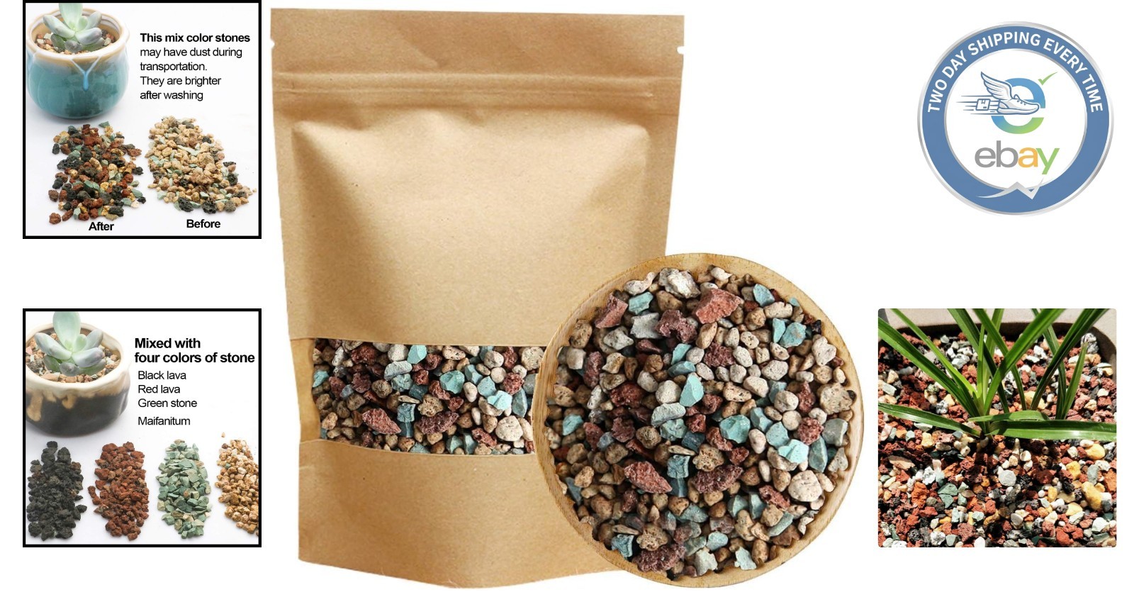 Horticultural Lava Pebbles & Pumice Soil Amendment for Succulent Health - 2.2 lb gallery