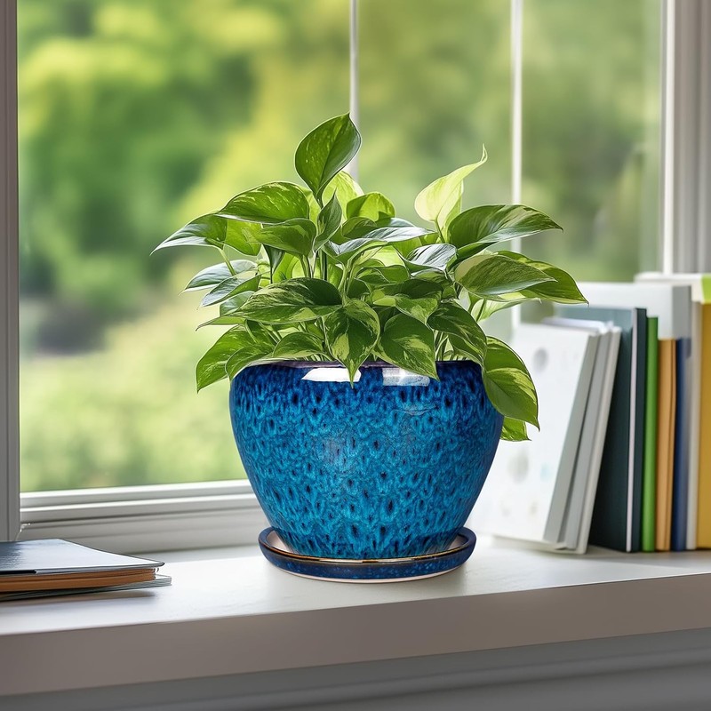 Ceramic Modern Glaze Succulent Planter Pot with Drainage Hole and Saucer 6 Inch gallery