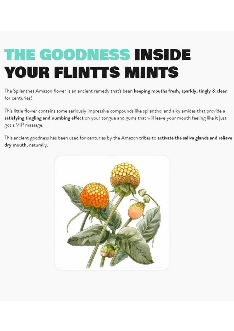 Flintts Mouth Watering Mints - Lemon - F-Strength 250 - Dry Mouth Mint gallery