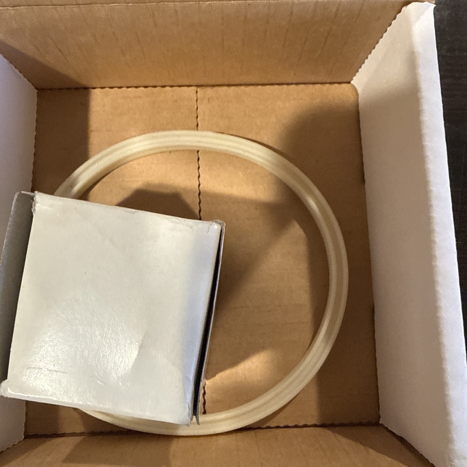 SmartPool Nitelighter Replacement Light Bulb & Gasket 50w gallery