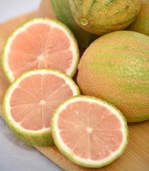 Pink Lemon Tree – Make Real Pink Lemonade! Will Fruit This Year