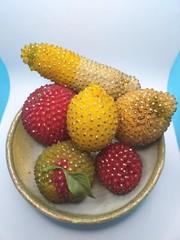Vintage Beaded Fruit MCM Push Pin Centerpiece Lot of 6 Apple Mango Lemon