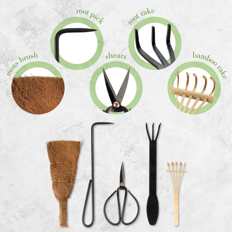 Bonsai Tool Set 5pc Root Rake, Shear, Root Pick, Moss Brush gallery