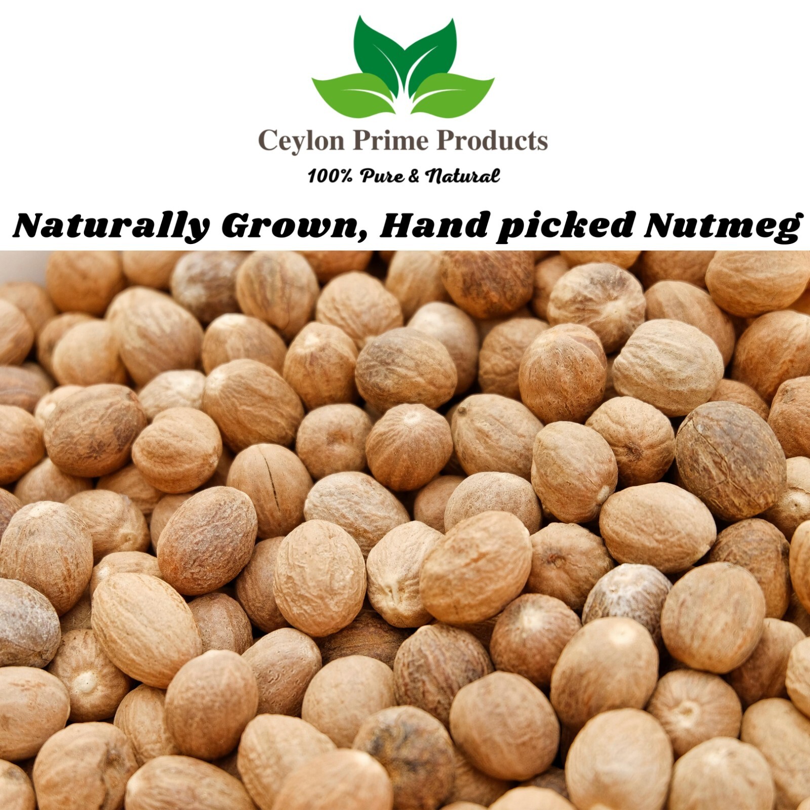 Nutmeg Powder by Ceylon Prime Products | 100% Pure & Natural Premium Nutmeg gallery