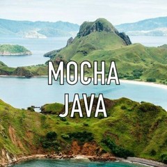100% MOCHA JAVA COFFEE BEANS DARK ROASTED 5 POUNDS