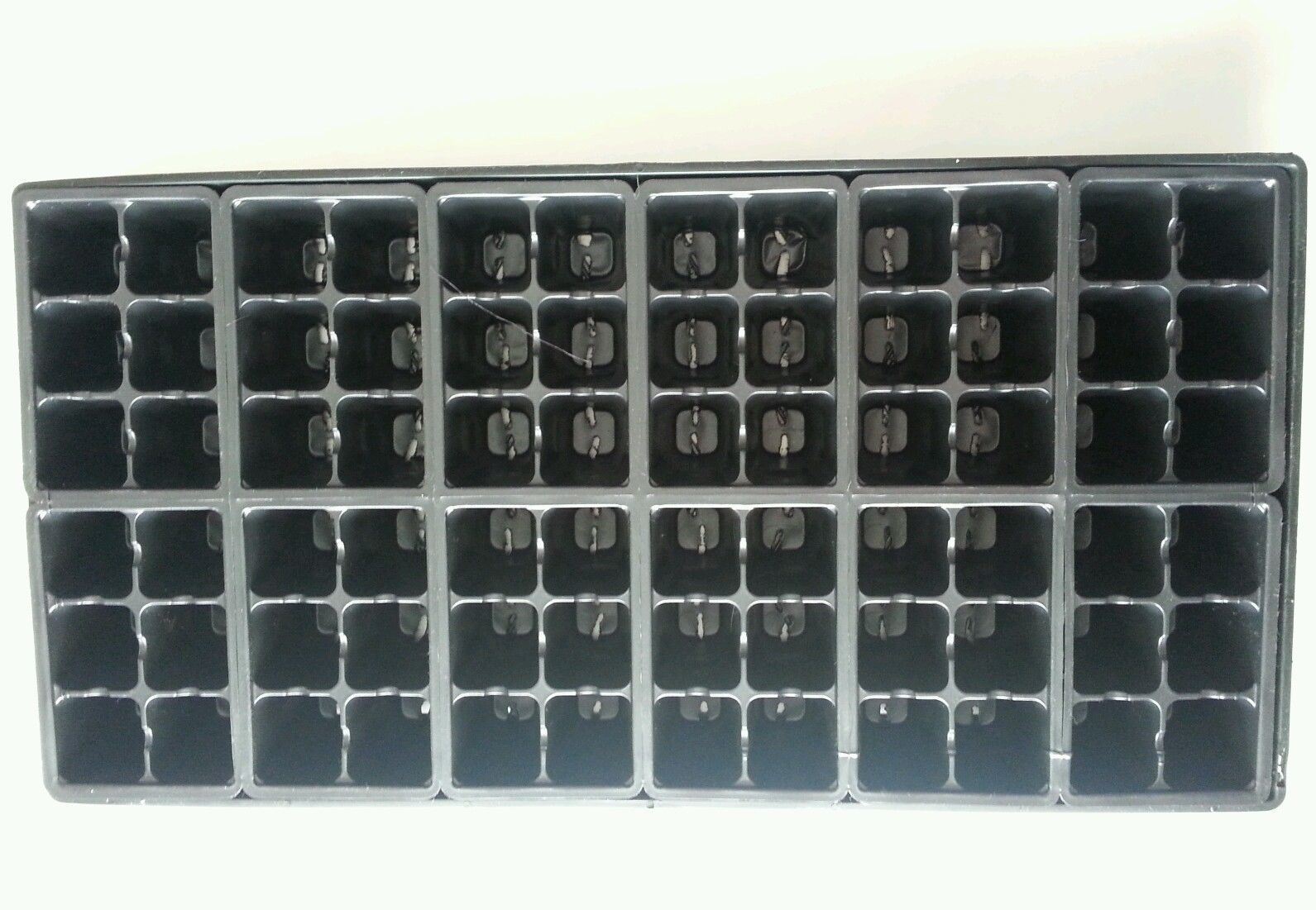 Seedling Germination Kit (Set of 5) Trays + Inserts; Start 360 Plants gallery